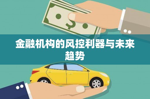 雷山金融机构的风控利器与未来趋势