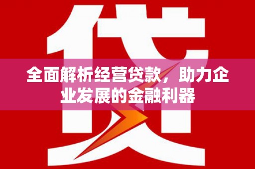 雷山全面解析经营贷款，助力企业发展的金融利器