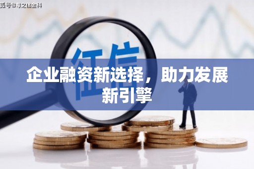 雷山企业融资新选择，助力发展新引擎