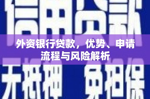 雷山外资银行贷款，优势、申请流程与风险解析