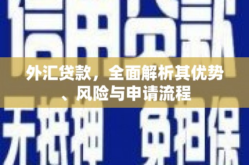 雷山外汇贷款，全面解析其优势、风险与申请流程