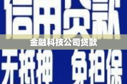 雷山金融科技公司贷款