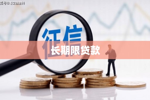 雷山长期限贷款