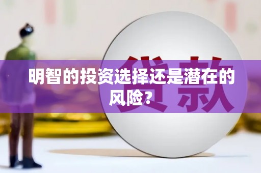 雷山明智的投资选择还是潜在的风险？