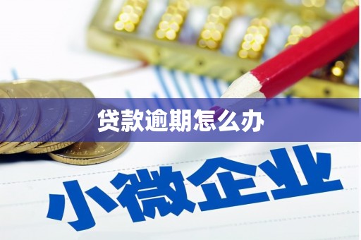 雷山贷款逾期怎么办