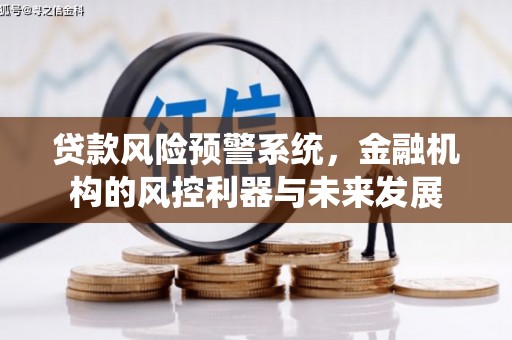 雷山贷款风险预警系统，金融机构的风控利器与未来发展