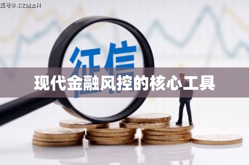 雷山现代金融风控的核心工具