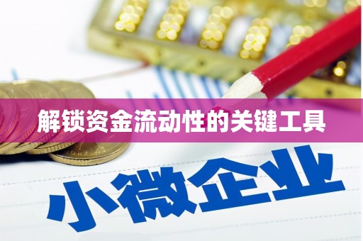 雷山解锁资金流动性的关键工具