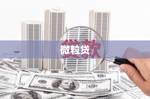 雷山微粒贷
