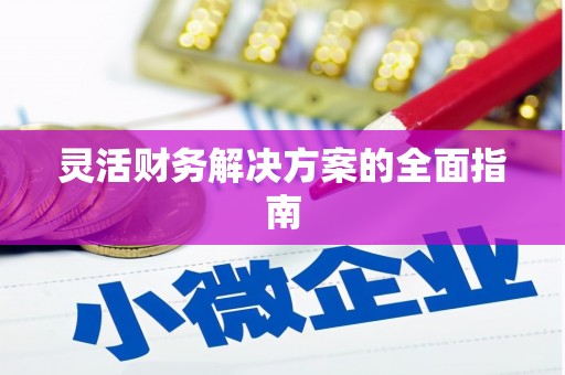 雷山灵活财务解决方案的全面指南