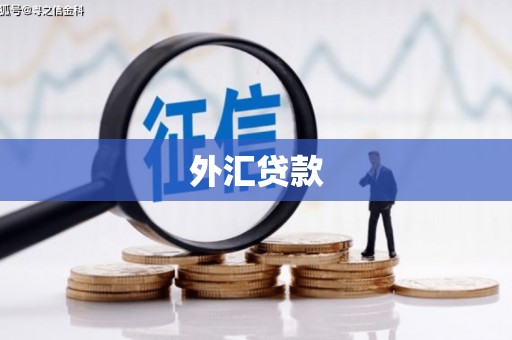 雷山外汇贷款
