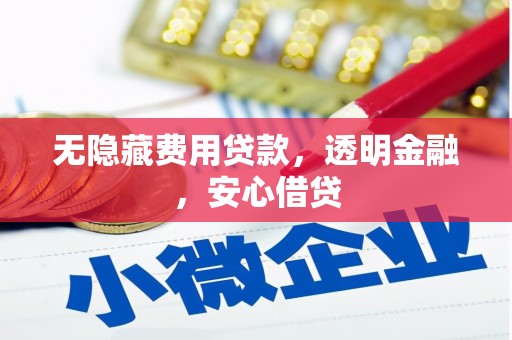 雷山无隐藏费用贷款，透明金融，安心借贷