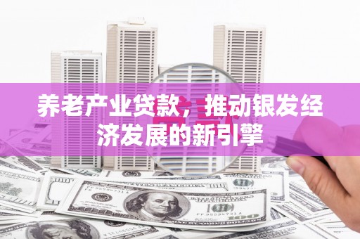雷山养老产业贷款，推动银发经济发展的新引擎