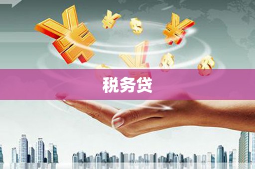 雷山税务贷