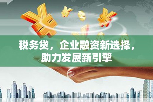 雷山税务贷，企业融资新选择，助力发展新引擎