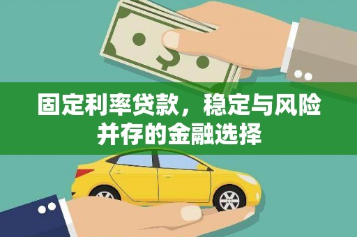 雷山固定利率贷款，稳定与风险并存的金融选择