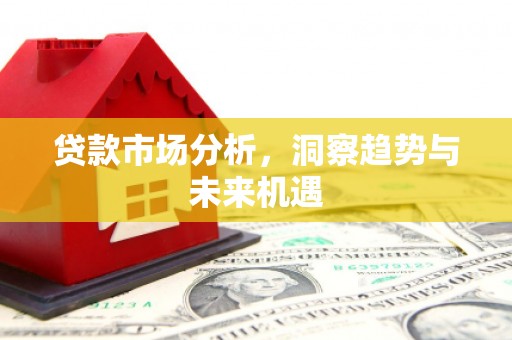 雷山贷款市场分析，洞察趋势与未来机遇