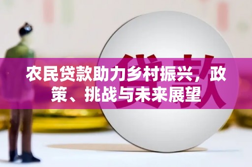 雷山农民贷款助力乡村振兴，政策、挑战与未来展望