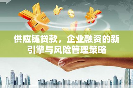 雷山供应链贷款，企业融资的新引擎与风险管理策略