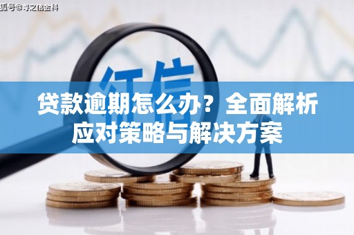 雷山贷款逾期怎么办？全面解析应对策略与解决方案
