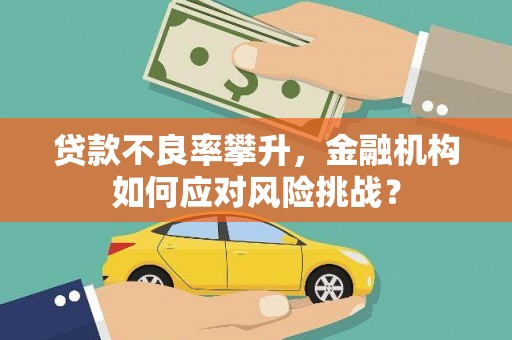 雷山贷款不良率攀升，金融机构如何应对风险挑战？