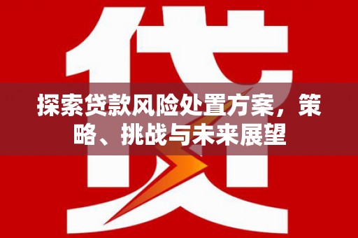 雷山探索贷款风险处置方案，策略、挑战与未来展望
