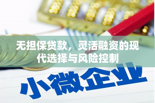 雷山无担保贷款，灵活融资的现代选择与风险控制