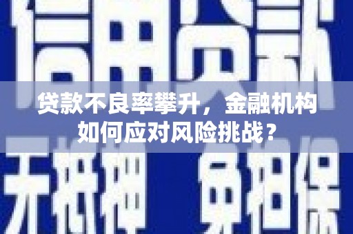 雷山贷款不良率攀升，金融机构如何应对风险挑战？