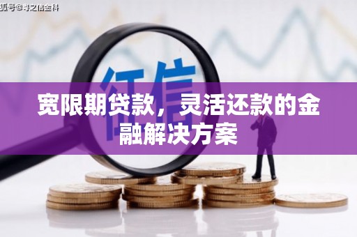 雷山宽限期贷款，灵活还款的金融解决方案