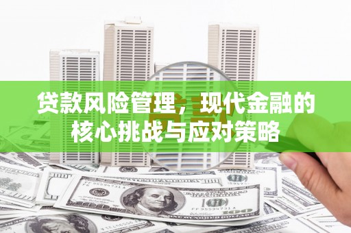 雷山贷款风险管理，现代金融的核心挑战与应对策略