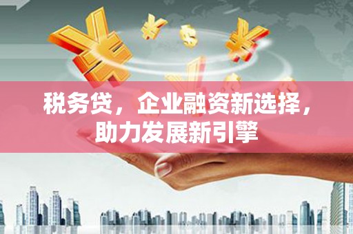 雷山税务贷，企业融资新选择，助力发展新引擎