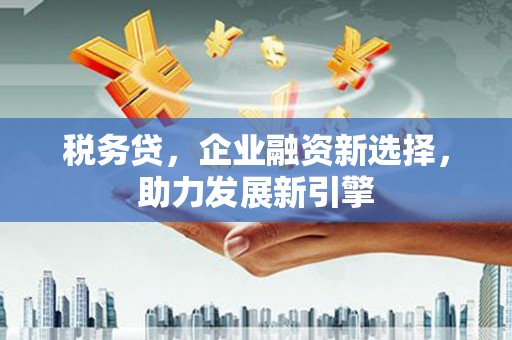 雷山税务贷，企业融资新选择，助力发展新引擎