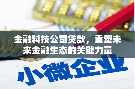 雷山金融科技公司贷款，重塑未来金融生态的关键力量