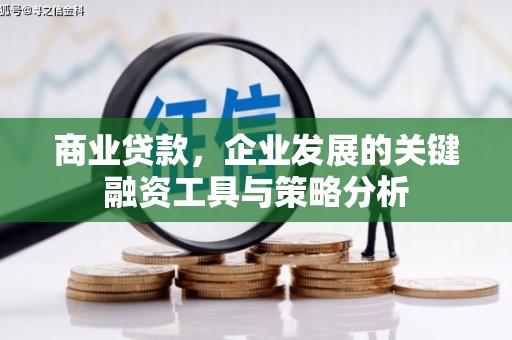 雷山商业贷款，企业发展的关键融资工具与策略分析
