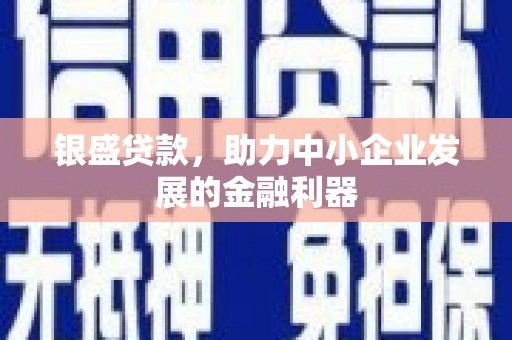 雷山银盛贷款，助力中小企业发展的金融利器