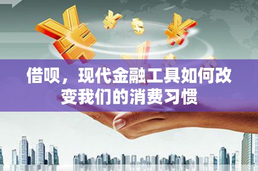 雷山借呗，现代金融工具如何改变我们的消费习惯