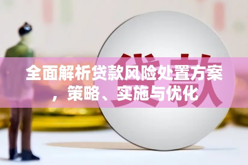 雷山全面解析贷款风险处置方案，策略、实施与优化