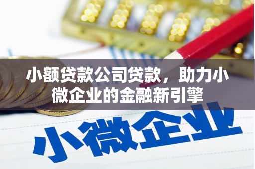 雷山小额贷款公司贷款，助力小微企业的金融新引擎