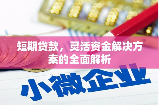雷山短期贷款，灵活资金解决方案的全面解析