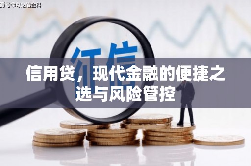 雷山信用贷，现代金融的便捷之选与风险管控