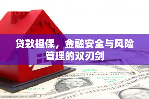 雷山贷款担保，金融安全与风险管理的双刃剑