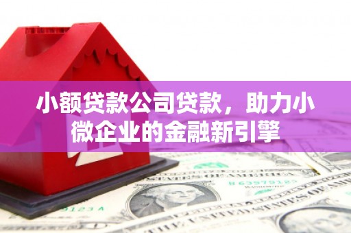 雷山小额贷款公司贷款，助力小微企业的金融新引擎
