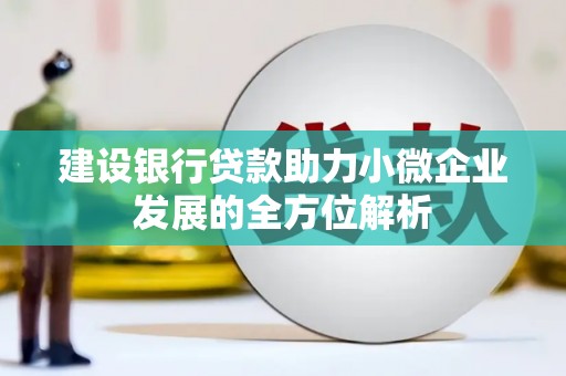 雷山建设银行贷款助力小微企业发展的全方位解析