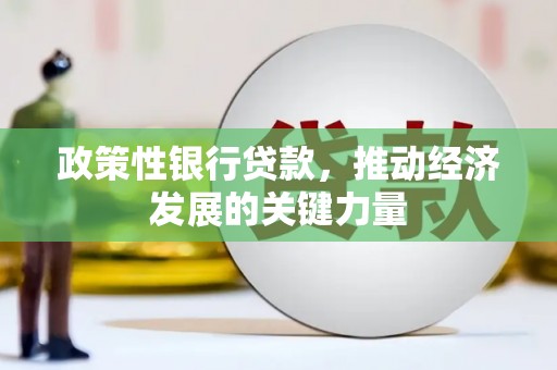 雷山政策性银行贷款，推动经济发展的关键力量