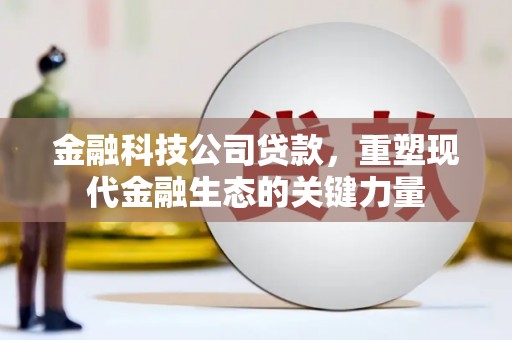 雷山金融科技公司贷款，重塑现代金融生态的关键力量