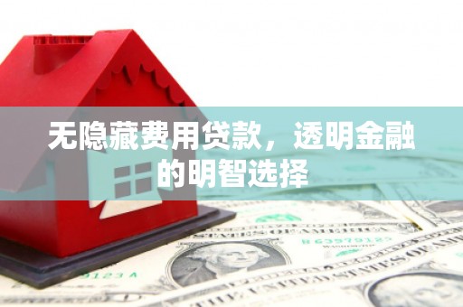 雷山无隐藏费用贷款，透明金融的明智选择
