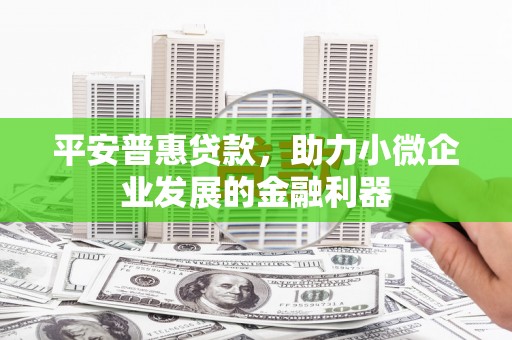 雷山平安普惠贷款，助力小微企业发展的金融利器