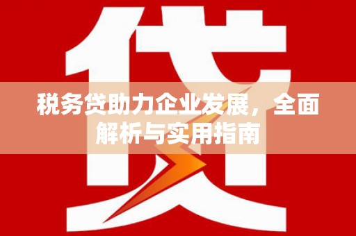 雷山税务贷助力企业发展，全面解析与实用指南
