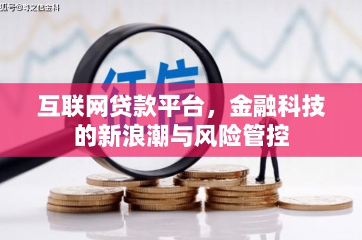 雷山互联网贷款平台，金融科技的新浪潮与风险管控
