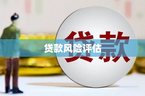 雷山贷款风险评估